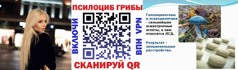 Псилоцибиновые грибы мицелий  Купить  Игра 